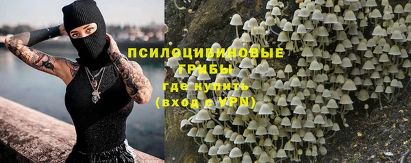 apvp Бородино