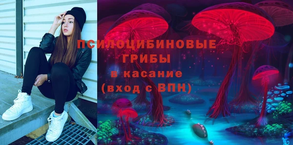 соль ск Медвежьегорск