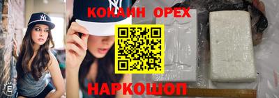 гашик Будённовск