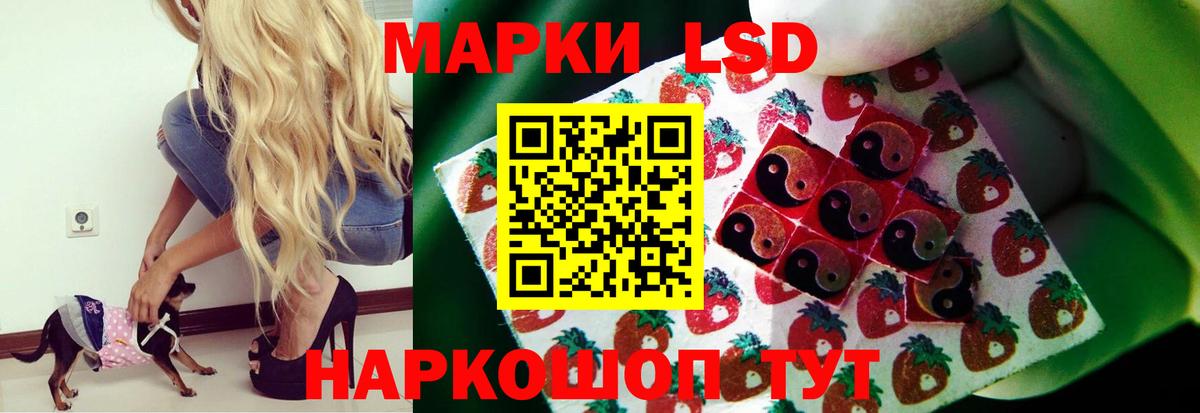 Кокаин  Вход с VPN  A-PVP  МЕФ  Выкса  Канабис  Гашиш  25-NBOMe 