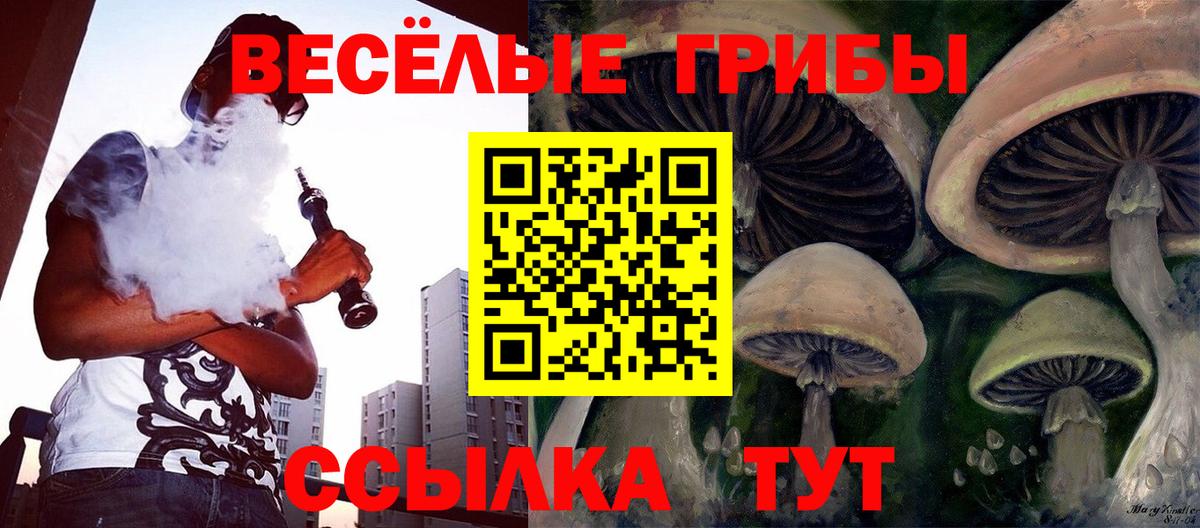 Псилоцибиновые грибы мицелий  Выкса 