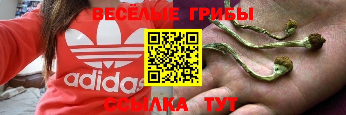 Псилоцибиновые грибы мухоморы Выкса